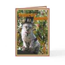 TURKEY AGAIN? Pilgrim Cat Greeting Card