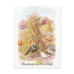 Turkey and Flock of Chickens Vintage Thanksgiving Postcards