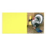 Turkey:  Best In Show photo cards