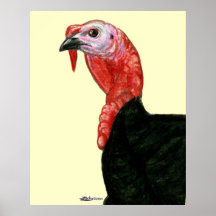 Turkey:  Black Tom Head Print