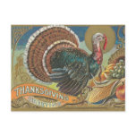 Turkey Cornucopia Thanksgiving Greeting postcards