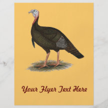 Turkey:  Eastern Wild Tom Flyers