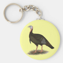 Turkey:  Eastern Wild Tom Key Chains