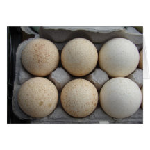 Turkey Eggs Card