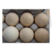 Turkey Eggs Greeting Card