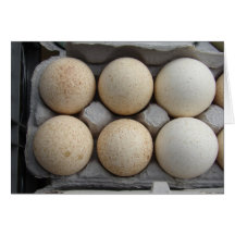 Turkey Eggs Greeting Card