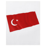 turkey flyers