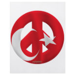 Turkey flyers