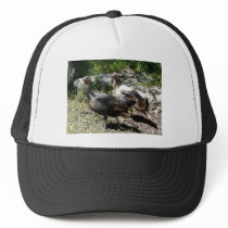turkey hat
