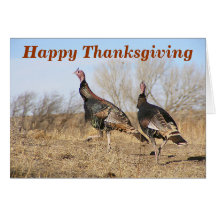 Turkey Horizon, Happy Thanksgiving Card
