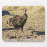 Turkey In Fighting Stance mousepads