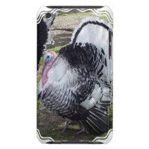 Turkey  iTouch Case iPod Touch Cover