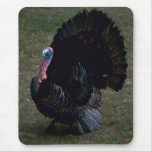 Turkey Mousepad