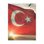 Turkey Post Cards