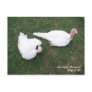 Turkey Postcard