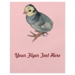 Turkey Poult Blue Slate flyers