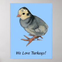 Turkey Poult Blue Slate Print