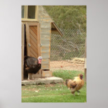 turkey & rooster print