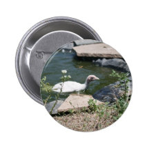 Turkey Swims Pins