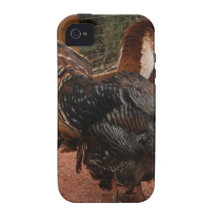 turkey, thanksgiving Case-Mate iPhone 4 cases