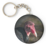 Turkey Vulture Keychain