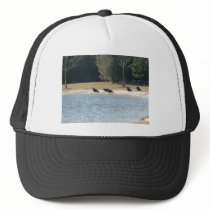 Turkey Vultures Sitting Around At The Pond. Mesh Hat