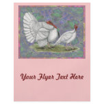 Turkey:  White Holland Pastel flyers
