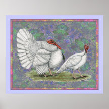 Turkey:  White Holland Pastel Poster