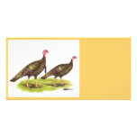 Turkey:  Wild Bronze Photo Card Template