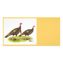 Turkey:  Wild Bronze Photo Card Template