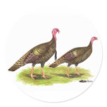 Turkey:  Wild Bronze stickers