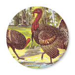 Turkeys by the Water Vintage Thanksgiving Magnets