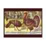 Turkeys by the Water Vintage Thanksgiving Post Cards