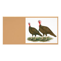 Turkeys:  Chocolate Photo Cards