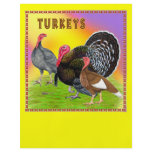 Turkeys:  Colourful Thanksgiving! flyers