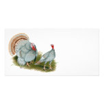 Turkeys:  Lilac photo cards