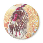 Turkeys March Through Wheat for Thanksgiving Magnet
