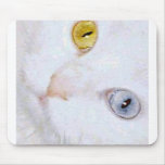 Turkish Angora- 2 different eye colours mousepads