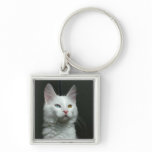 TURKISH ANGORA CAT keychains