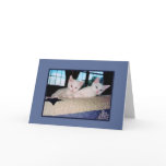 Turkish Angora Kittens Greeting Card