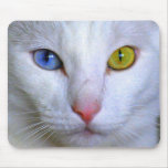 Turkish Angora Mousepad