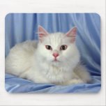 Turkish Angora, white mousepads