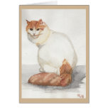 Turkish Cat cards
