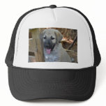 Turkish Shepherd Dog hats