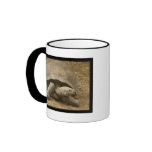 Turning Tortoise mugs