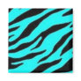 Turquoise and Black Zebra Refrigerator Magnets