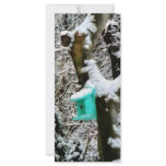 Turquoise Birdhouse in Winter rack cards