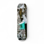Turquoise Birdhouse in Winter Skateboard Deck