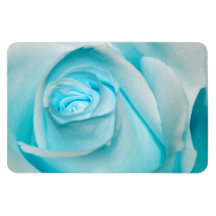 Turquoise Ice Rose Rectangle Magnet