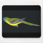 Turquoise Parrot - Neophema pulchella Mouse Mat